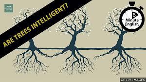 ?Are trees intelligent